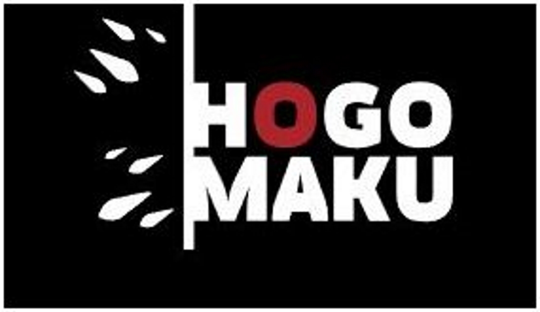 Особенности антигравийной защитной плёнки Hogomaku PRO